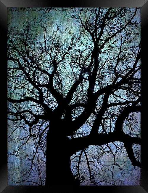 Oak Tree in Blue Framed Print by Annabelle Ward