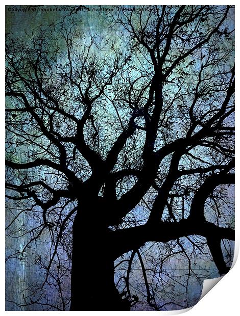 Oak Tree in Blue Print by Annabelle Ward
