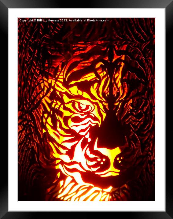 Tigers head design two Framed Mounted Print by Bill Lighterness