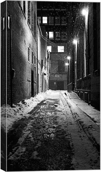 Alley Walks Canvas Print by Johnson's Productions