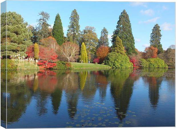 Reflections Sheffield park gardens Canvas Print by Stephen Windsor