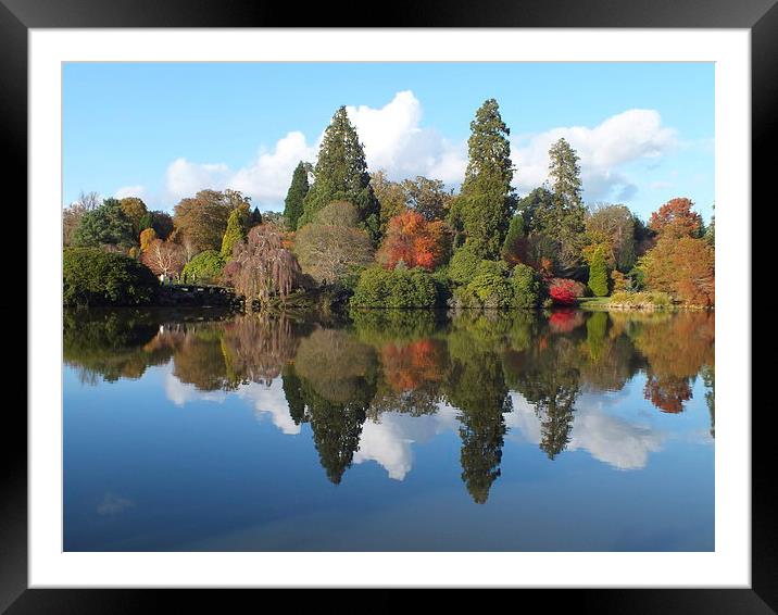 A day of reflections Framed Mounted Print by Stephen Windsor