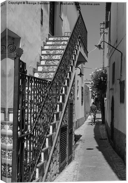Steps Up, & Away Canvas Print by George Davidson