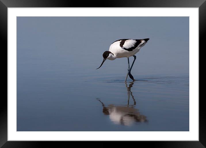 Peaceful Reflection Framed Mounted Print by Mark Medcalf