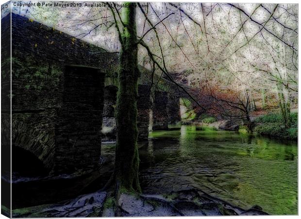 The River Plym Canvas Print by Pete Moyes