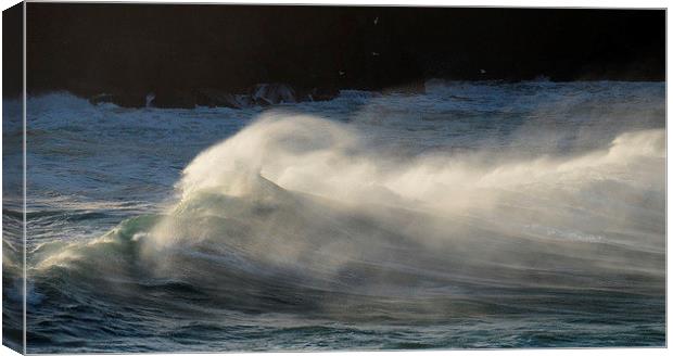 Clogher waves Canvas Print by barbara walsh