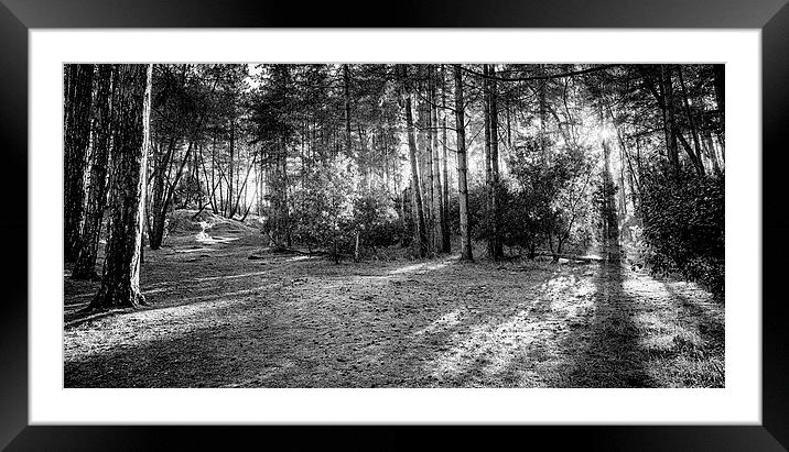 An autumns walk in Black and white Framed Mounted Print by Mark Bunning