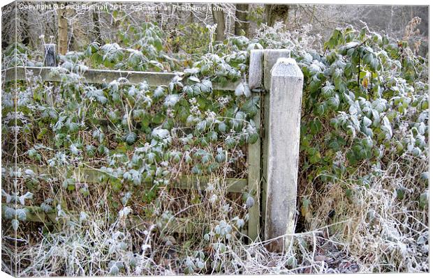 A Sprinkle Of Frost Canvas Print by David Birchall