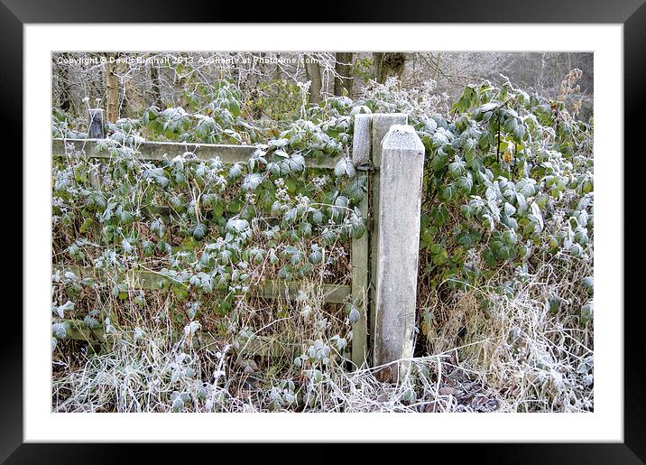 A Sprinkle Of Frost Framed Mounted Print by David Birchall
