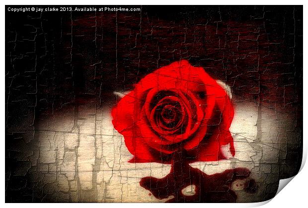 blood rose Print by jay clarke