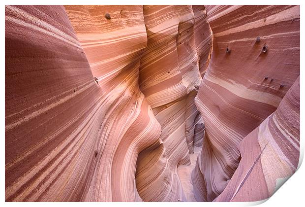 Zebra Slot Canyon, Escalante, Utah Print by David Roossien