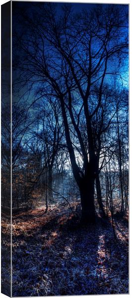 Epping Forest in Winter Oil Effect Canvas Print by Nigel Bangert