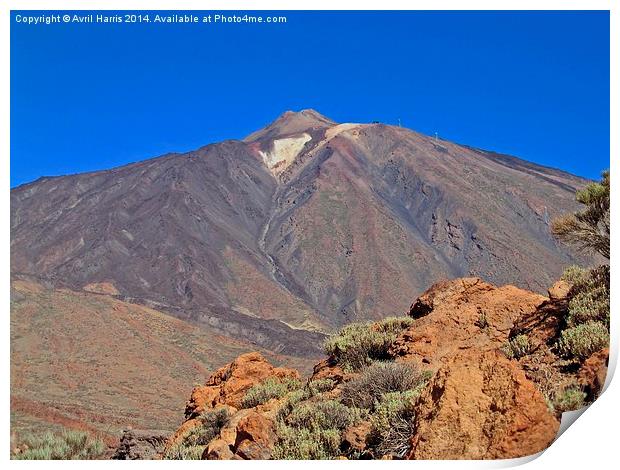 Mount Teide Tenerife Print by Avril Harris