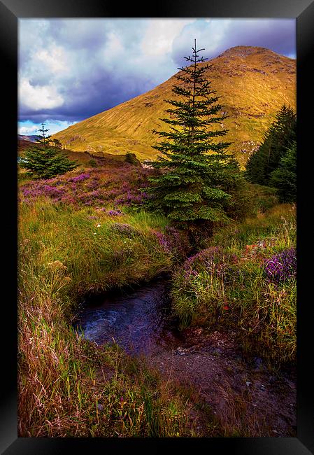 Beauty all Around. Rest and Be Thankful. Scotland Framed Print by Jenny Rainbow