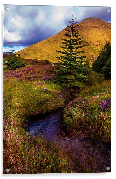 Beauty all Around. Rest and Be Thankful. Scotland Acrylic by Jenny Rainbow
