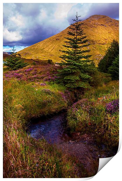 Beauty all Around. Rest and Be Thankful. Scotland Print by Jenny Rainbow