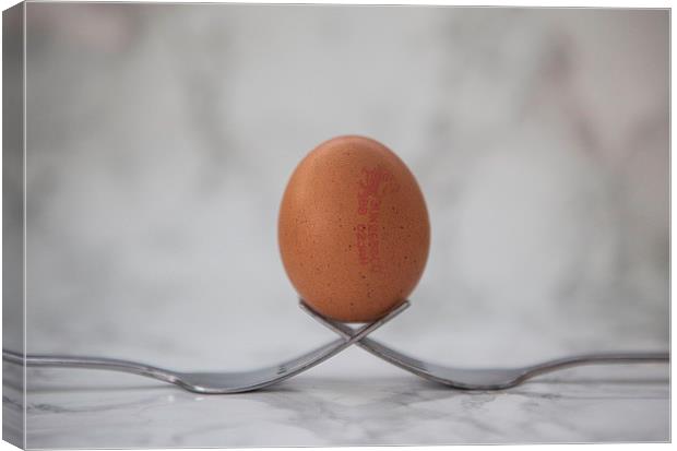 Egg on Forks Canvas Print by David Pacey