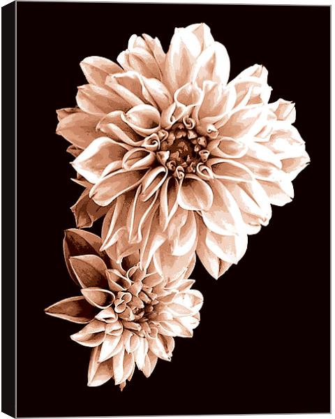Floral Tritone Canvas Print by james balzano, jr.