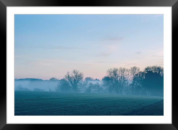 Evening sky over distant treeline through dense mi Framed Mounted Print by Liam Grant