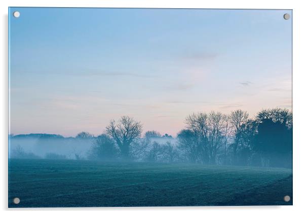 Evening sky over distant treeline through dense mi Acrylic by Liam Grant