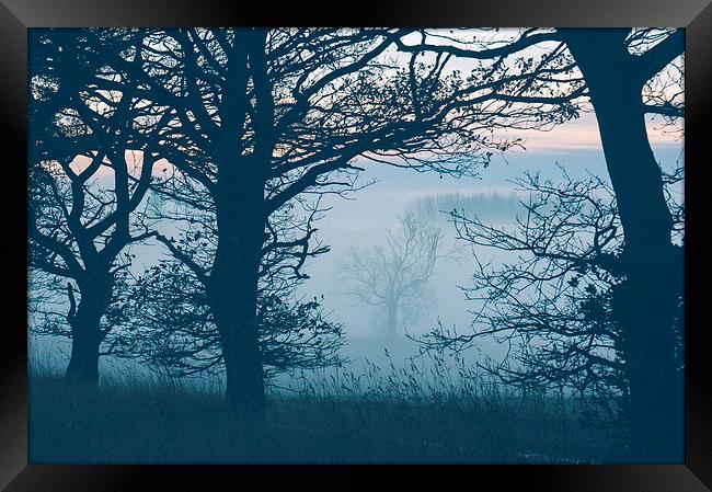 Distant tree in fog. Norfolk, UK. Framed Print by Liam Grant