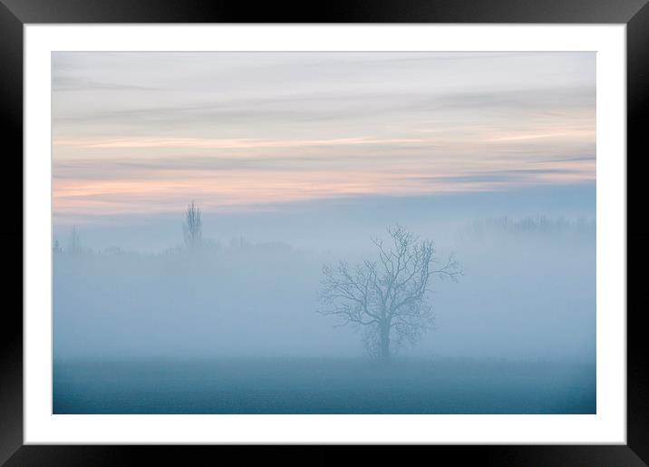 Evening sky and rural tree though fog. Framed Mounted Print by Liam Grant