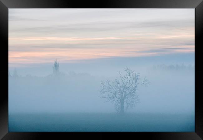 Evening sky and rural tree though fog. Framed Print by Liam Grant