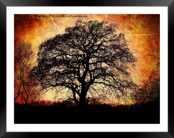 Fiery Winter Tree Framed Mounted Print by Annabelle Ward