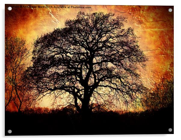 Fiery Winter Tree Acrylic by Annabelle Ward