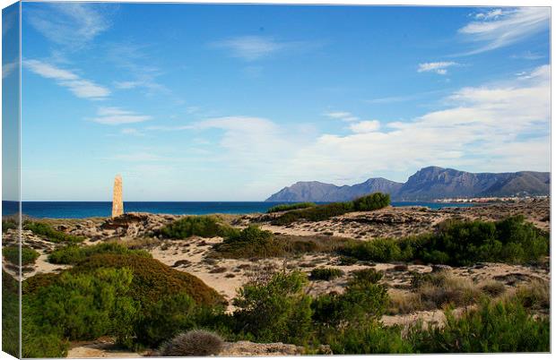 December in Mallorca Spain Canvas Print by Peter F Hunt