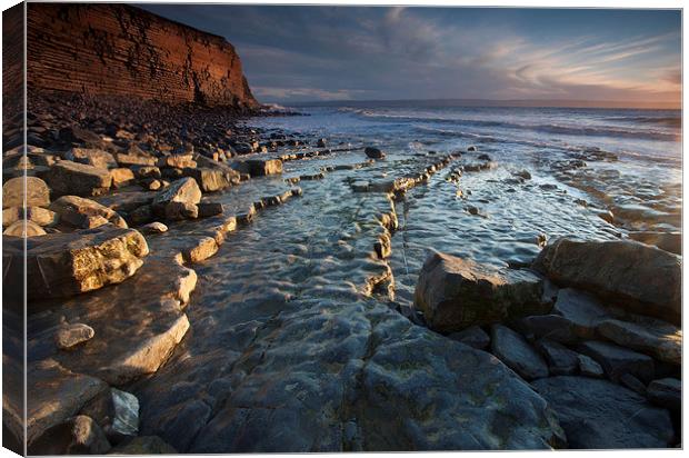 Nash Point S. Wales Canvas Print by Leighton Collins