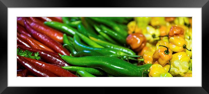 Three Colour Chillis Framed Mounted Print by Martin Patten
