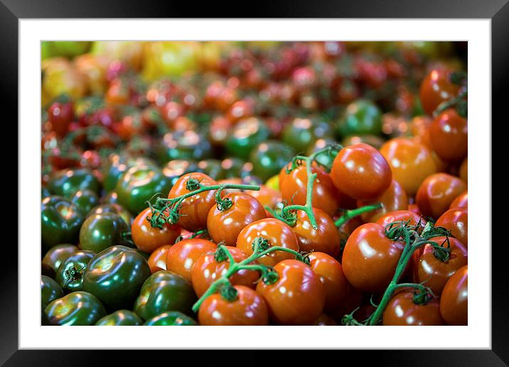 Various  luscious ripe tomatoes Framed Mounted Print by Martin Patten