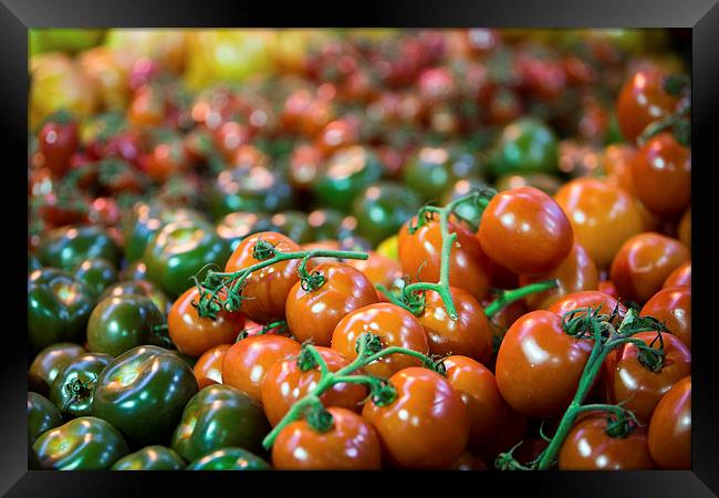 Various  luscious ripe tomatoes Framed Print by Martin Patten
