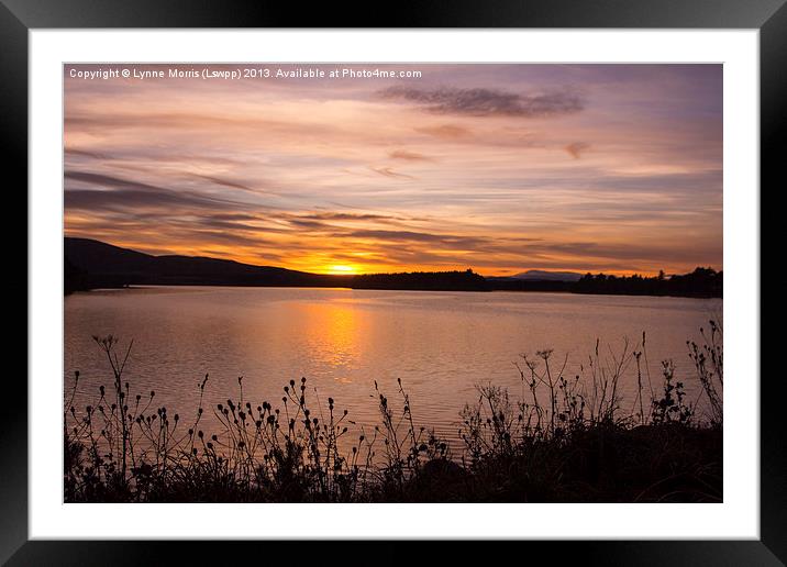 Tranquil Sunset Framed Mounted Print by Lynne Morris (Lswpp)