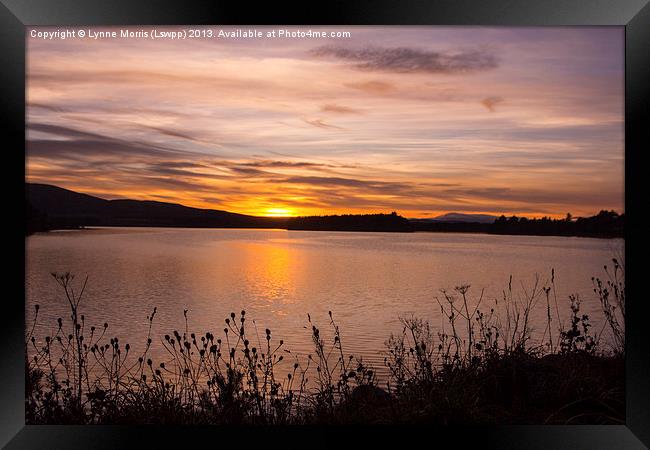 Tranquil Sunset Framed Print by Lynne Morris (Lswpp)