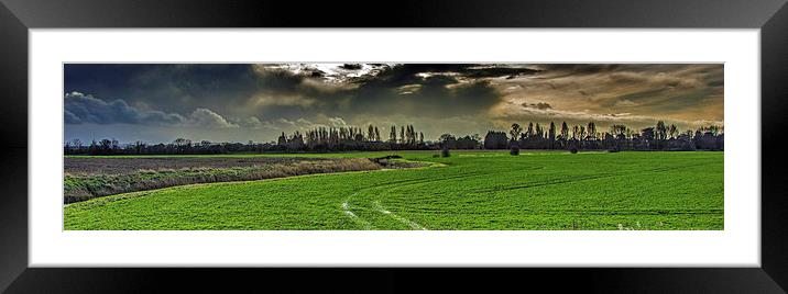 autumn panorama Framed Mounted Print by Thanet Photos