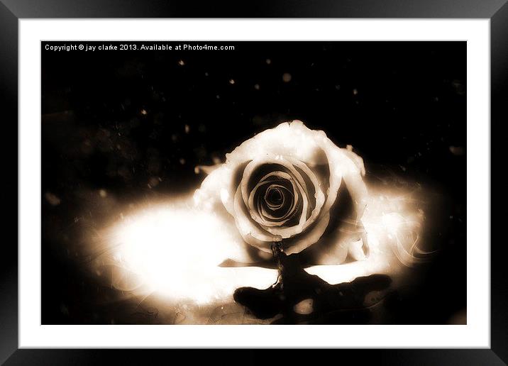 blood from a rose Framed Mounted Print by jay clarke