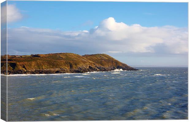 Langland Bay on the Gower Canvas Print by Paul Nicholas