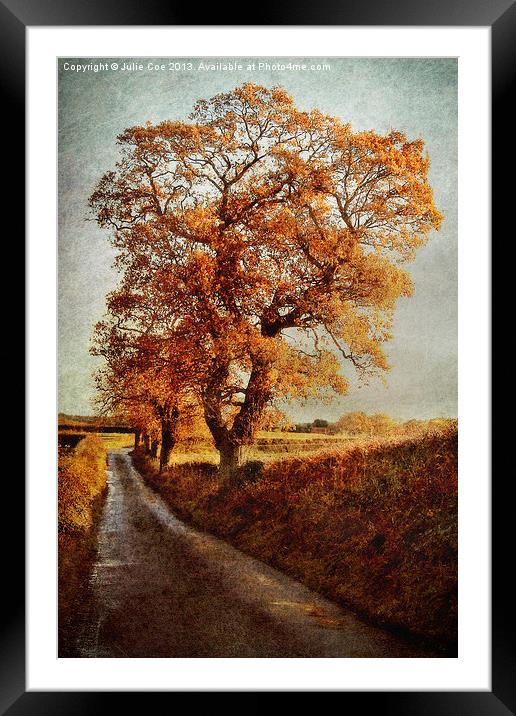 Sweetbriar Trees Framed Mounted Print by Julie Coe