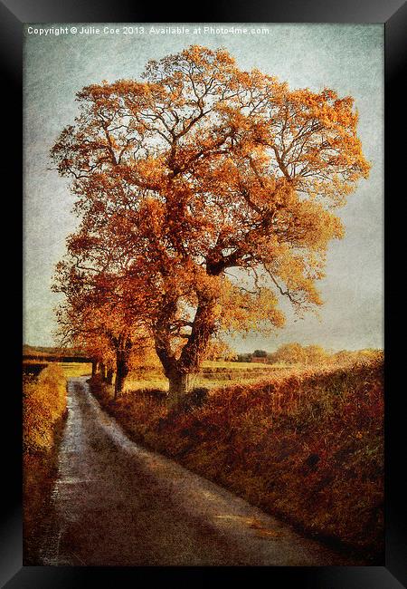 Sweetbriar Trees Framed Print by Julie Coe