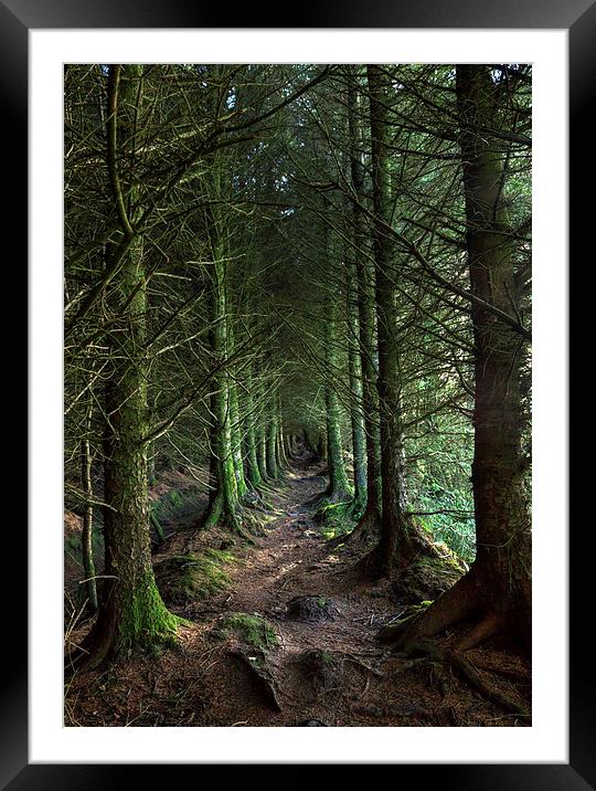 Devon Forest Pathway Framed Mounted Print by Mike Gorton