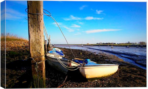 Lower Halstow, Moored Boats Canvas Print by Robert Cane