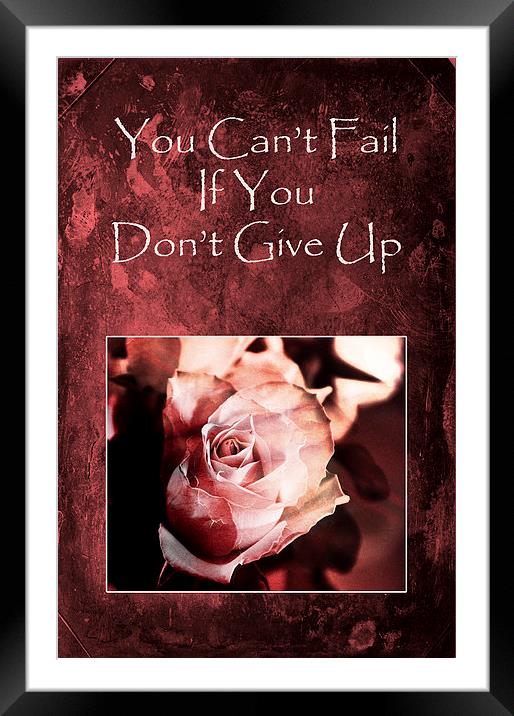 Dont Give Up Framed Mounted Print by Randi Grace Nilsberg