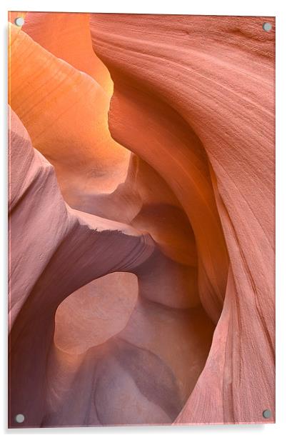 Peek-a-Boo Slot Canyon, Escalante, Utah Acrylic by David Roossien