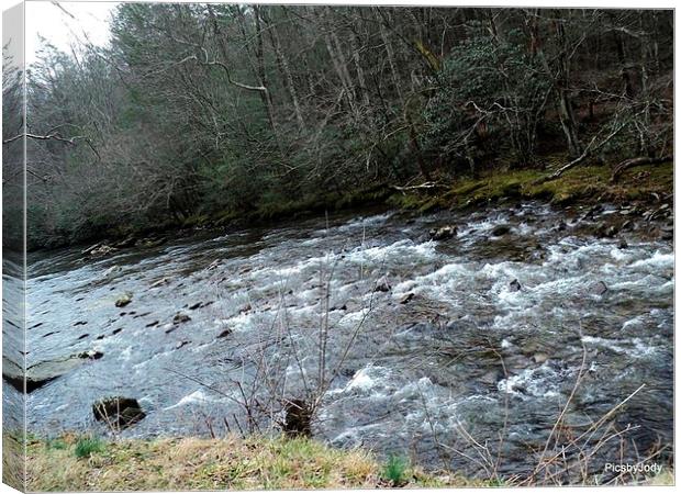 Brooke in the Smokies Canvas Print by Pics by Jody Adams