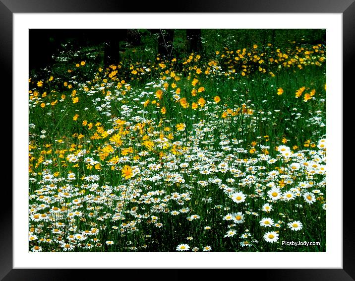 See the Colors Framed Mounted Print by Pics by Jody Adams