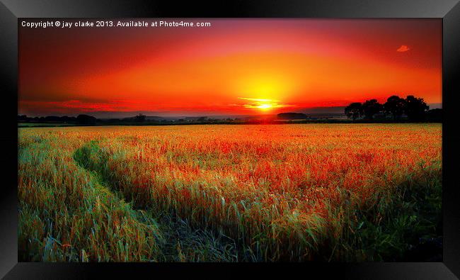 field of dreams Framed Print by jay clarke