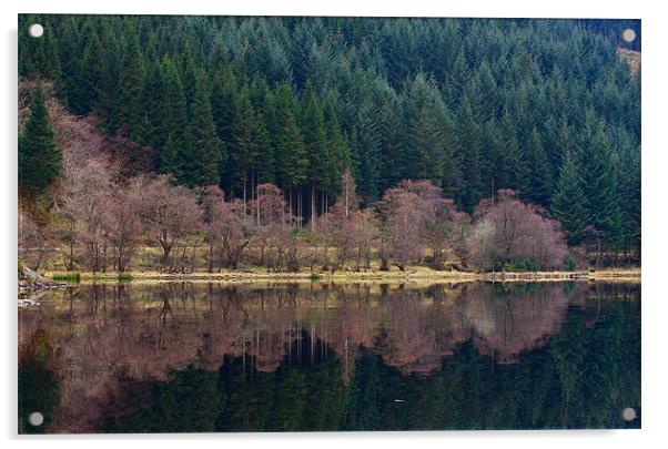 Loch Chon Acrylic by James Mc Quarrie