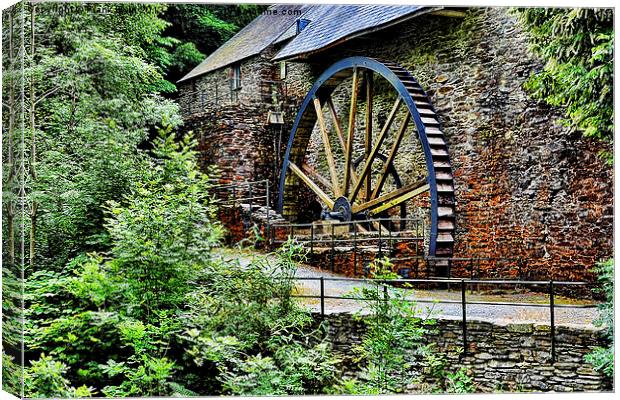 Water wheel from times gone by Canvas Print by Frank Irwin